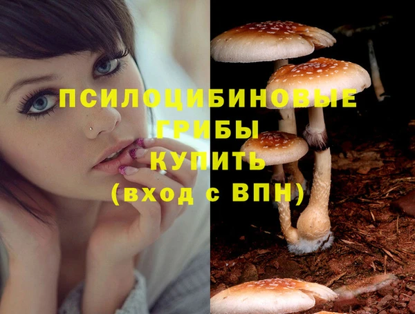 хмурый Вяземский