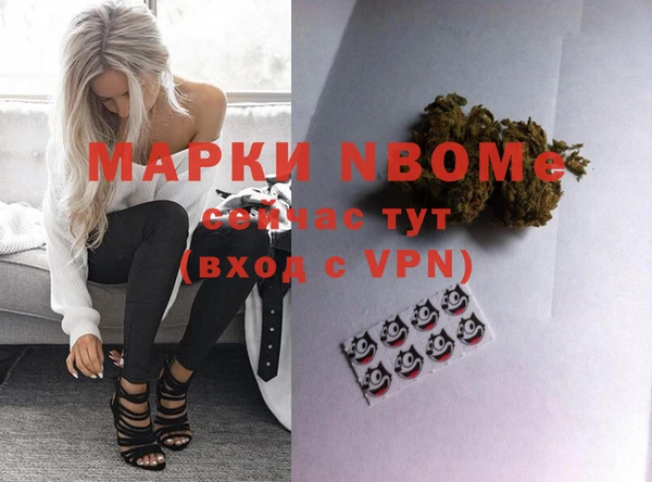 хмурый Вяземский