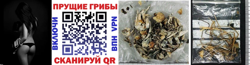 Псилоцибиновые грибы GOLDEN TEACHER  наркотики  Михайлов 